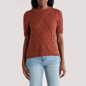 DR2 by Daniel Rainn Scalloped Short Sleeve Pointelle Knit Sweater XL Dark Clay